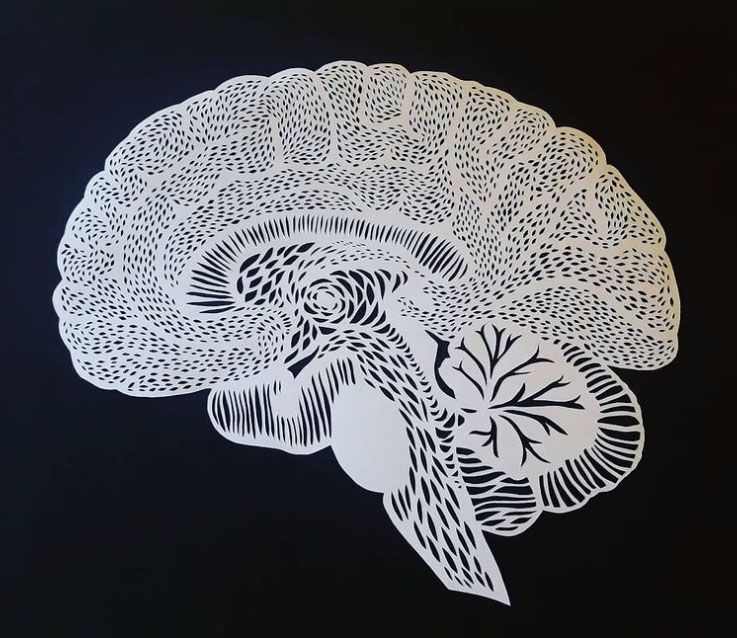 Kunst von Alex Jürgen*: Papierschnitt von einem menschlichen Gehirn