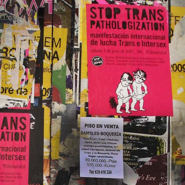 Plakatwand, darunter 2 mal ein pinkes Plakat mit dem Titel "Stop Trans Pathologization"