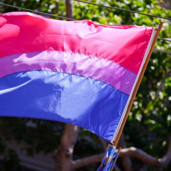 Bisexuell Pride Flag