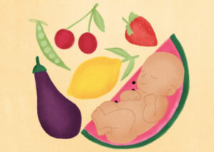 Illustration mit einem Baby, das in einer Wassermelone liegt, daneben eine Erdbeere, Kirsche, Zitrone, Melanzani und Erbsenschote
