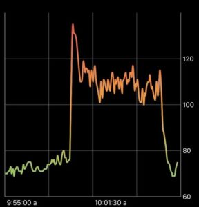 Diagramm mit einer aufgezeichneten hohen Herzfrequenz