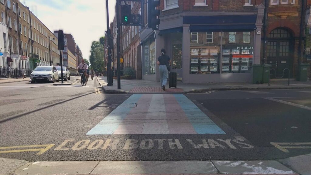 Zebrastreifen in den Farben der Trans-Flagge